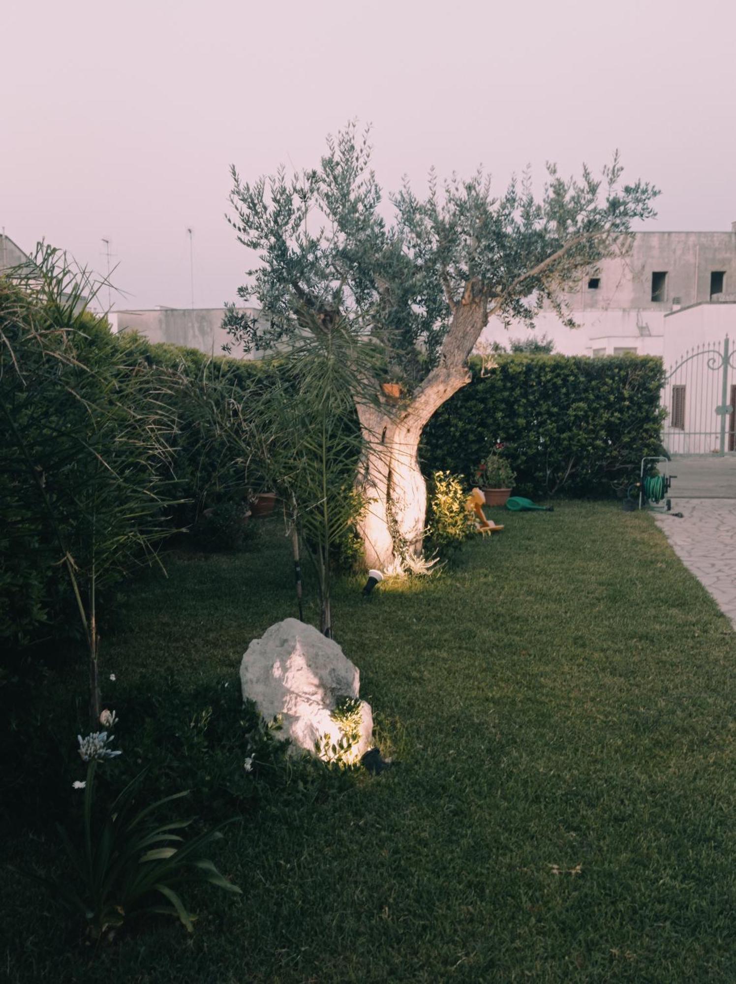 B&B Paradise أودجانو لا كييزا المظهر الخارجي الصورة